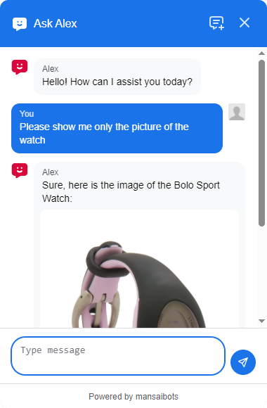 AI Chatbot Interface